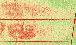 Agricultural Mapping